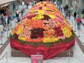 Bukiet róż - Rekord Guinnessa