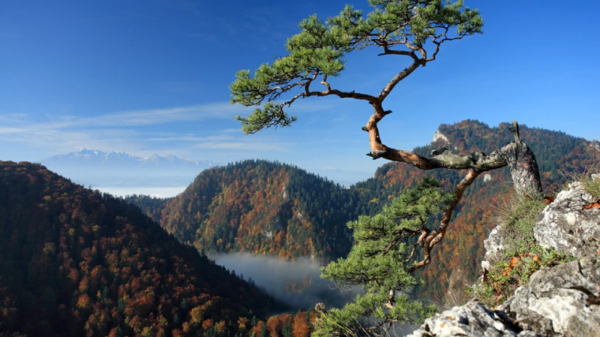 Pieniński Park Narodowy