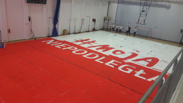 Największa mozaika z kartonów