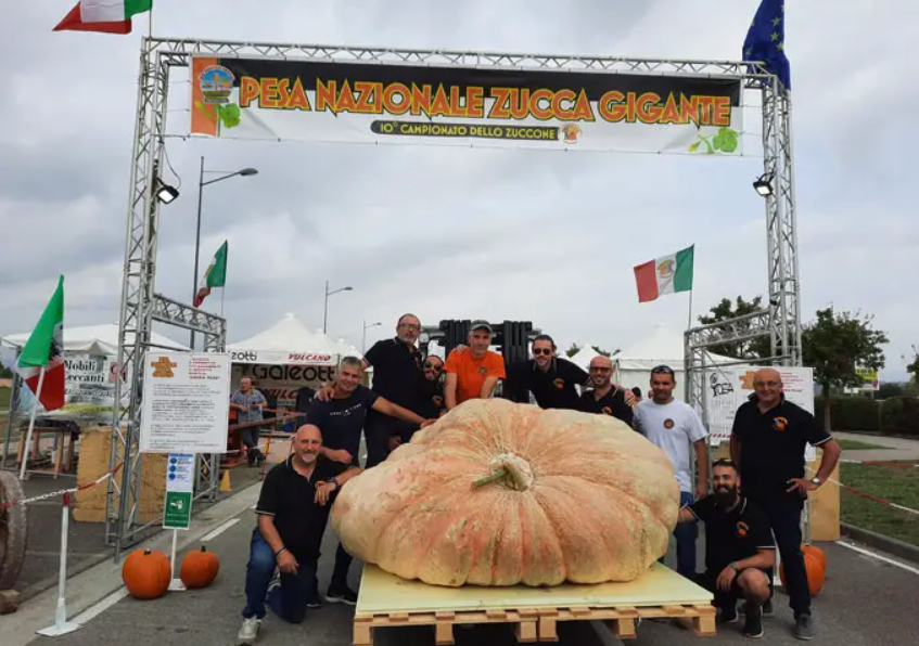 Gigantyczna dynia na palecie i hodowcy pod bramą festiwalu dyni we Włoszech