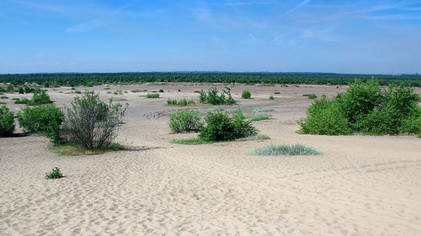 Największa pustynia w Polsce