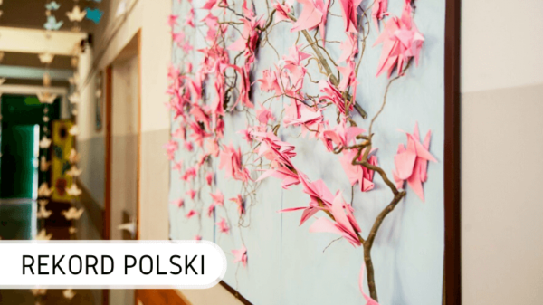 Rekord Polski wystawa żurawi