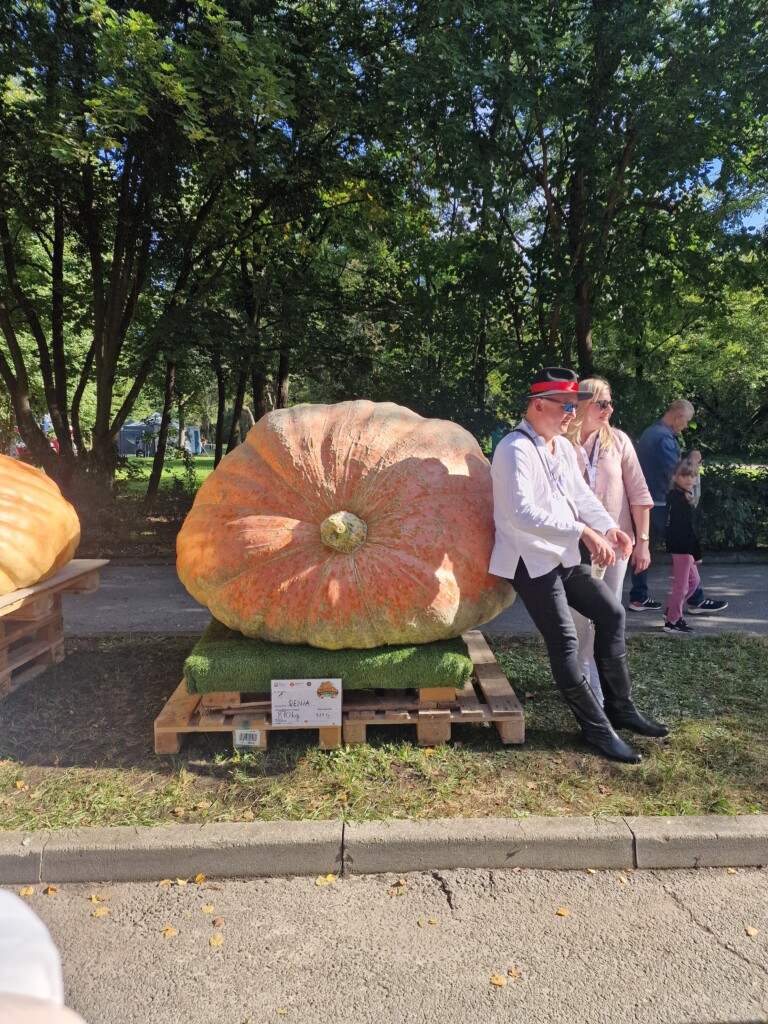 Najcięższa dynia Bania Fest
