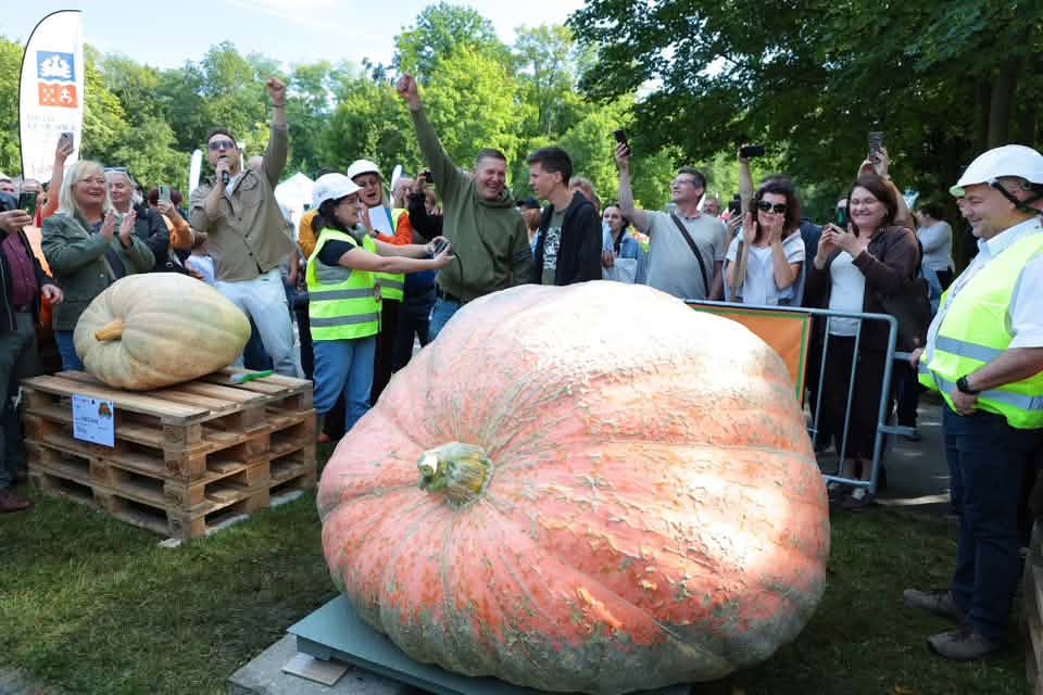 Rekord Polski Najcięższa dynia Krapkowice