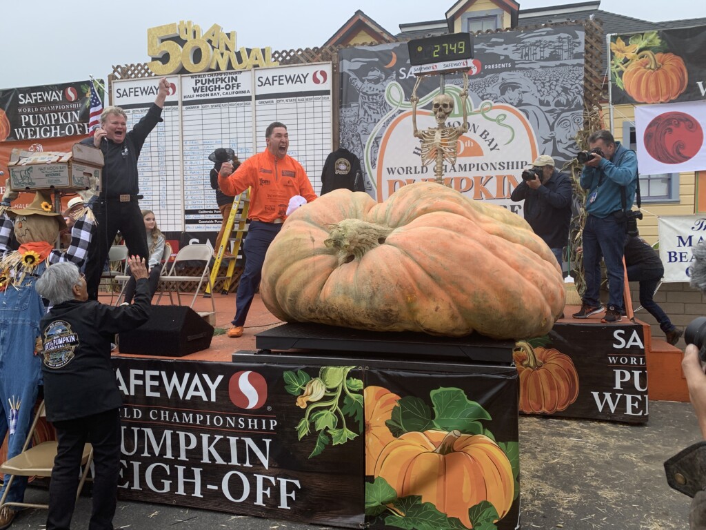 Rekordowa dynia Travisa Giengera na scenie 50. Safeway World Championship Pumpkin Weigh-Off