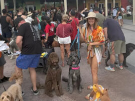 Dog pool party - rekord Guinnessa