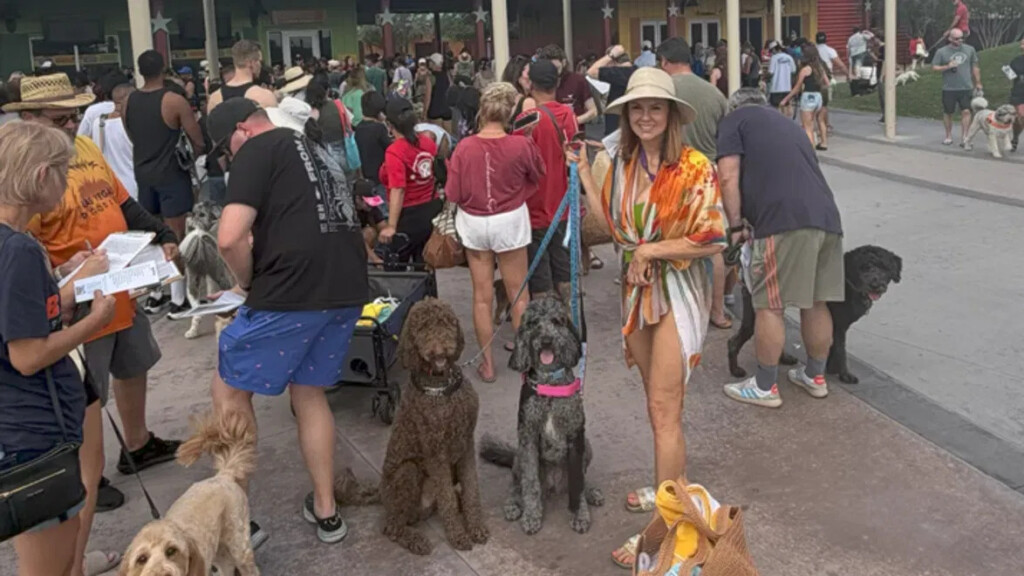 Dog pool party - rekord Guinnessa