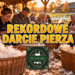 Gęsiada 2026 - Darcie pierza - Rekord Polski