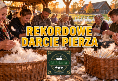 Gęsiada 2026 - Darcie pierza - Rekord Polski