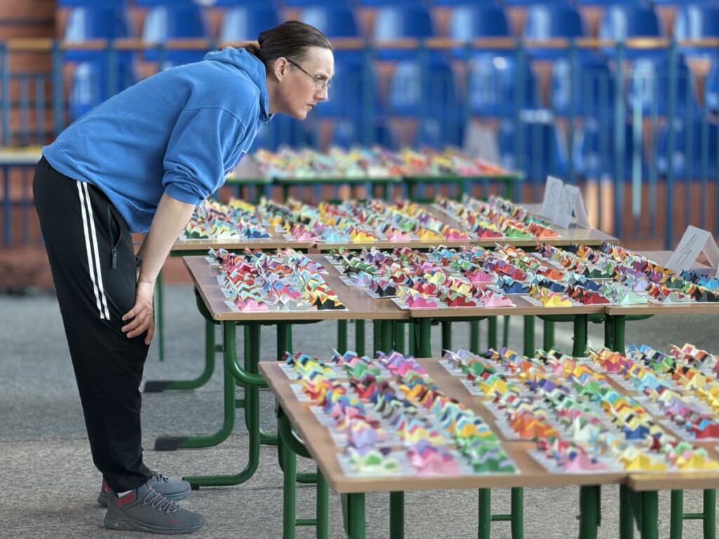 Łukasz Pietruszka ogląda lisy origami rozstawione na szkolnych ławkach dzień przed wystawą